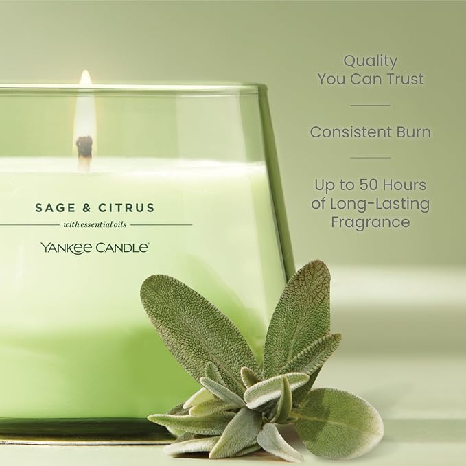 Studio Scented Candle with up to 50 Hour Burn Time, Premium Plant Wax Blend for Consistent Burn, 10 oz Jar Candle with Room