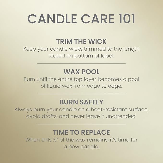 Studio Scented Candle with up to 50 Hour Burn Time, Premium Plant Wax Blend for Consistent Burn, 10 oz Jar Candle with Room