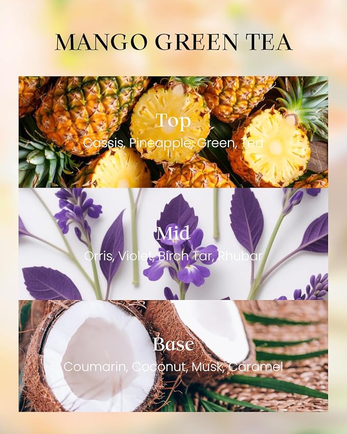 Tea Scented Candles, Vegan Soy Wax, Naturally Scented Mango Green Tea No Toxin 8.1oz Long Lasting 42-Hour Burn Time