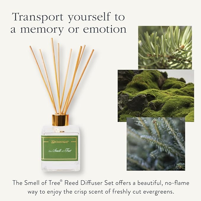 The Smell of Tree Reed Diffuser Set - Fall Scented Home Fragrance with Pine, Cedarleaf, Fir Balsam, Bayleaf, Clove, alternate