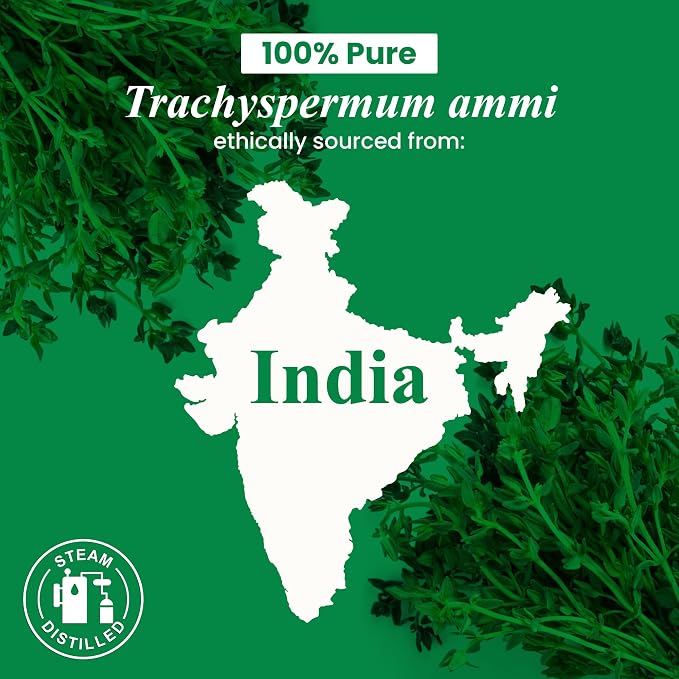 Thyme Essential Oil – Huge 4 Fl Oz – 100% Pure and Natural – Premium Grade Essential Oil for Diffuser and Aromatherapy