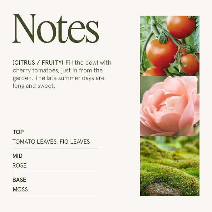 Tomato & Vine Candle - Tomato Leaf, Rose, Moss | 12 oz Large 2-Wick Soy Wax Candle | 60 Hours Clean Burn | Fresh Garden