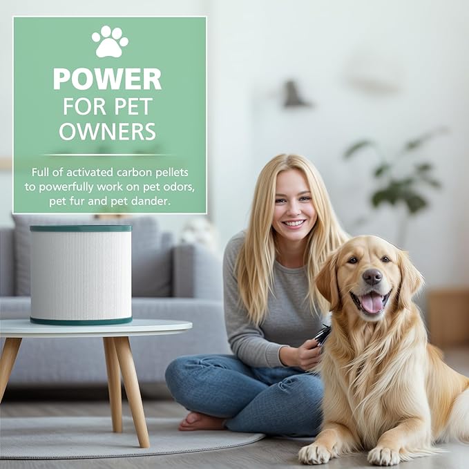 TP01 HEPA Replacement Filter Compatible with Tower Purifier Pure Cool Link TP01, TP02, TP03, AM11, BP01 Models