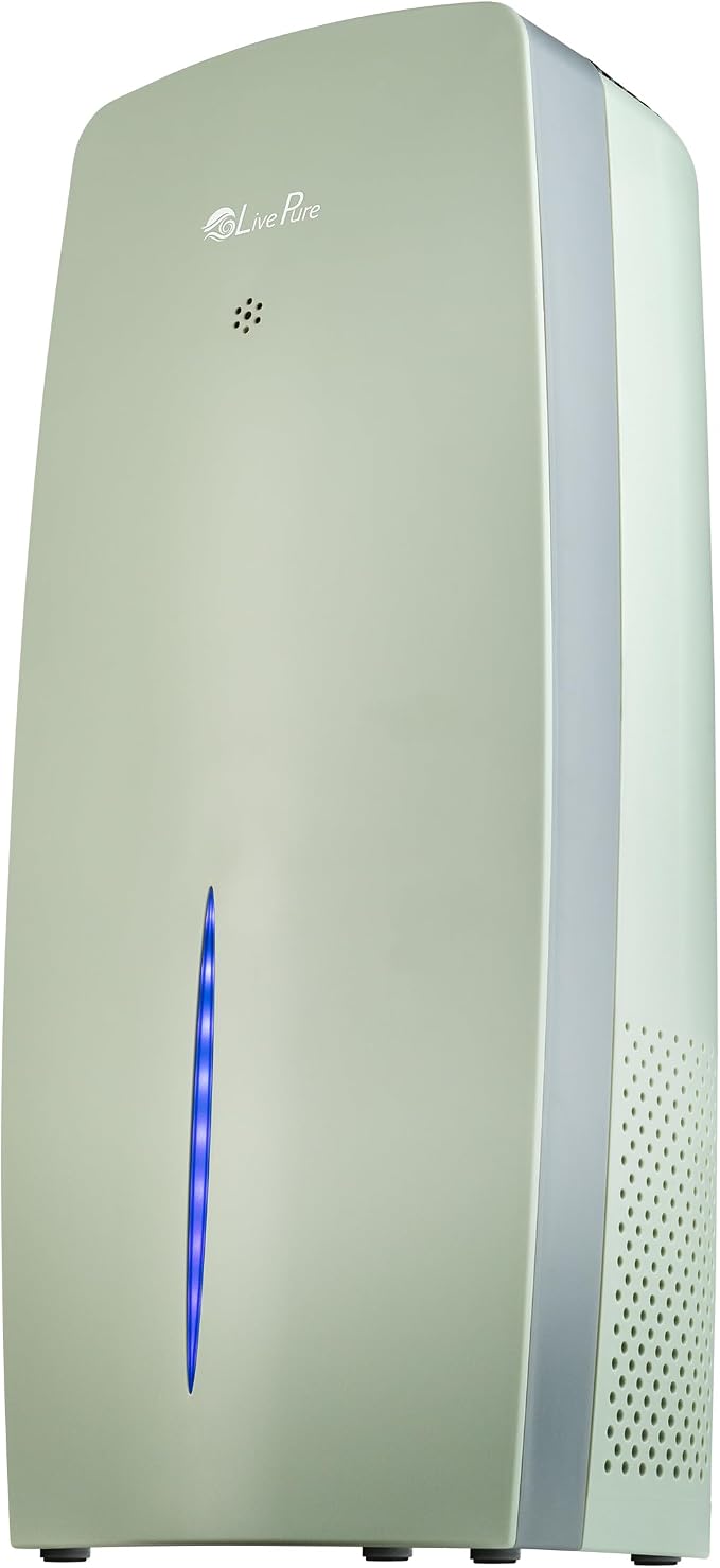 True HEPA Air Purifier & Humidifier, Sage, product image
