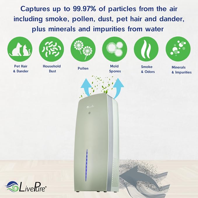 True HEPA Air Purifier & Humidifier, Sage, alternate product view 4