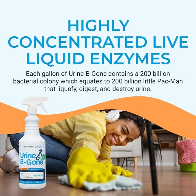 Urine B-Gone, Professional Enzyme Odor Eliminator & Pet Stain Remover, Human, Cat & Dog Urine Cleaner, Effective on Laundry