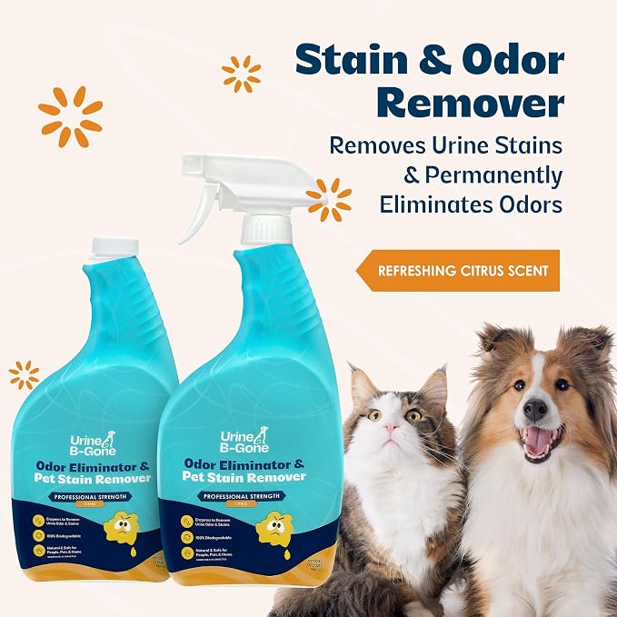 Urine B-Gone, Professional Enzyme Odor Eliminator & Pet Stain Remover, Human, Cat & Dog Urine Cleaner, Effective, alternate