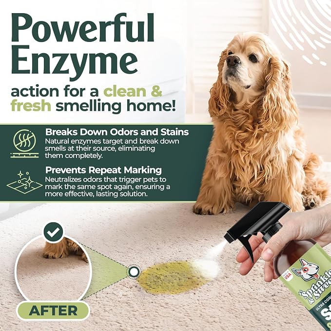 Urine Destroyer Enzyme Cleaner Spray | Cat & Dog Urine Stain and Odor Eliminator | Enzymatic Carpet Cleaner for Pets | Cat