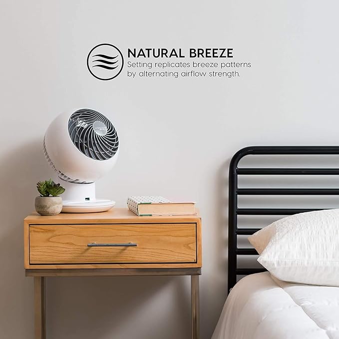 USA WOOZOO Air Circulator Fan with Remote, Oscillating, 5 Speeds, Quiet Motor, Small Fan for Bedroom, Office, Dorm, White