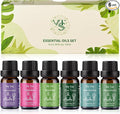 VTS Essential Oils Set (6 x 10ml) - Lavender, Peppermint, Eucalyptus, Tea Tree, Geranium, Rosemary, product image