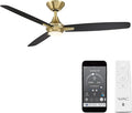 WAC F-060L-SB/MB Blitzen 54" Outdoor Ceiling Fan with LED Lights and Remote, Soft Brass Matte Black, product image