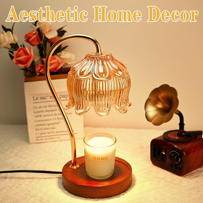 Warmer Lamp with Timer dimmer,Gifts for Women,House Warming Gifts for Vintage Bedroom Home Decor,Wax melt Warmer for Scented