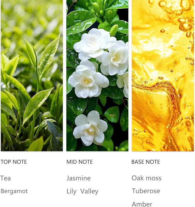 Waterless Essential Oil 20ml, Black Tea Scent with Bergamot, Jasmine, Lily of The Valley& Oak Moss, alternate product view 2
