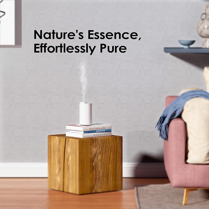 Waterless Essential Oil Diffuser Starter Kit with 30mL Hotel Fragrance Oil Inspired by Blagio, Battery Operated Car Diffuser