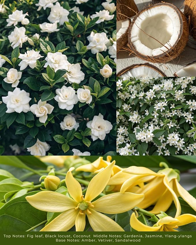 White Gardenia Scented Candles - 100% Natural Soy Wax - Large 3 Wick Jar Candle - Up to 50 Hours Burning Time, alternate