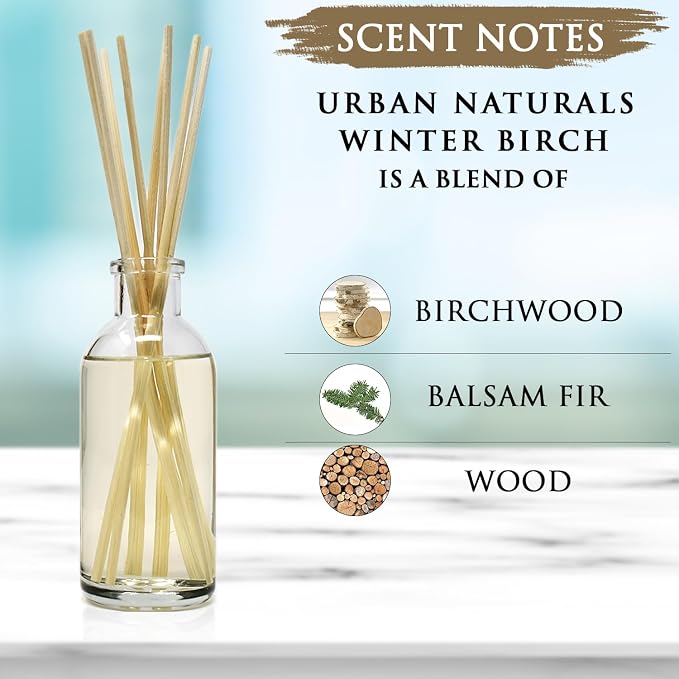 Winter Birch Reed Diffuser Oil Gift Set | Birch Wood & Balsam Scented Oil with Bamboo Reed Sticks | Great Holiday Home