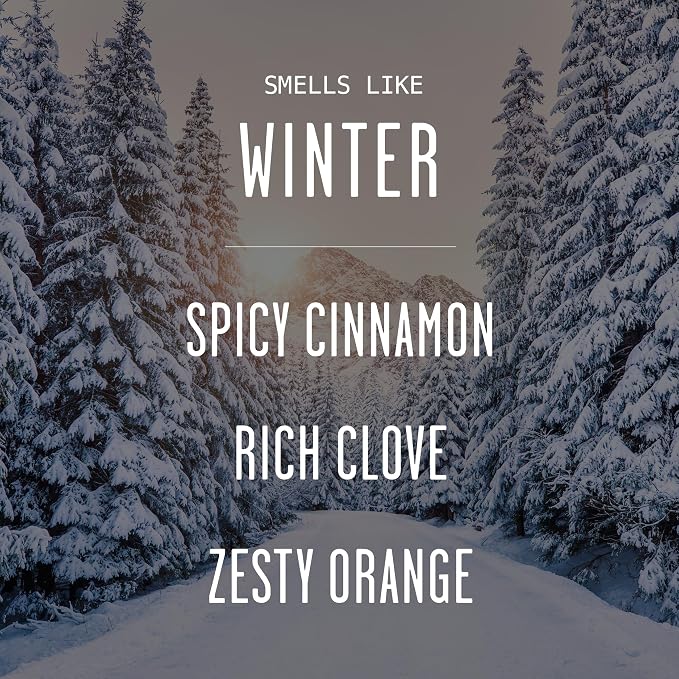 Winter Diffuser, Christmas Diffuser - w/Cinnamon, Clove & Orange I Infused w/Essential Oils I3.75 OZ Oil I Christmas Décor I