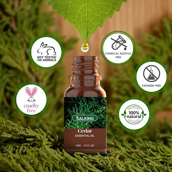 Woodsy Essential Oils Set for Men, Masculine Essential Oils, 12 x 10ml Natural Fragrance Essential Oils for Diffuser, Candle