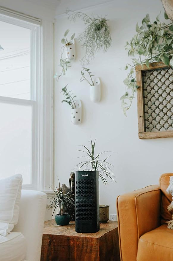 WPT60B Whispure True Hepa Air Purifier, Activated Carbon Advanced Anti-Bacteria, Ideal for Allergies, Odors, Pet Dander